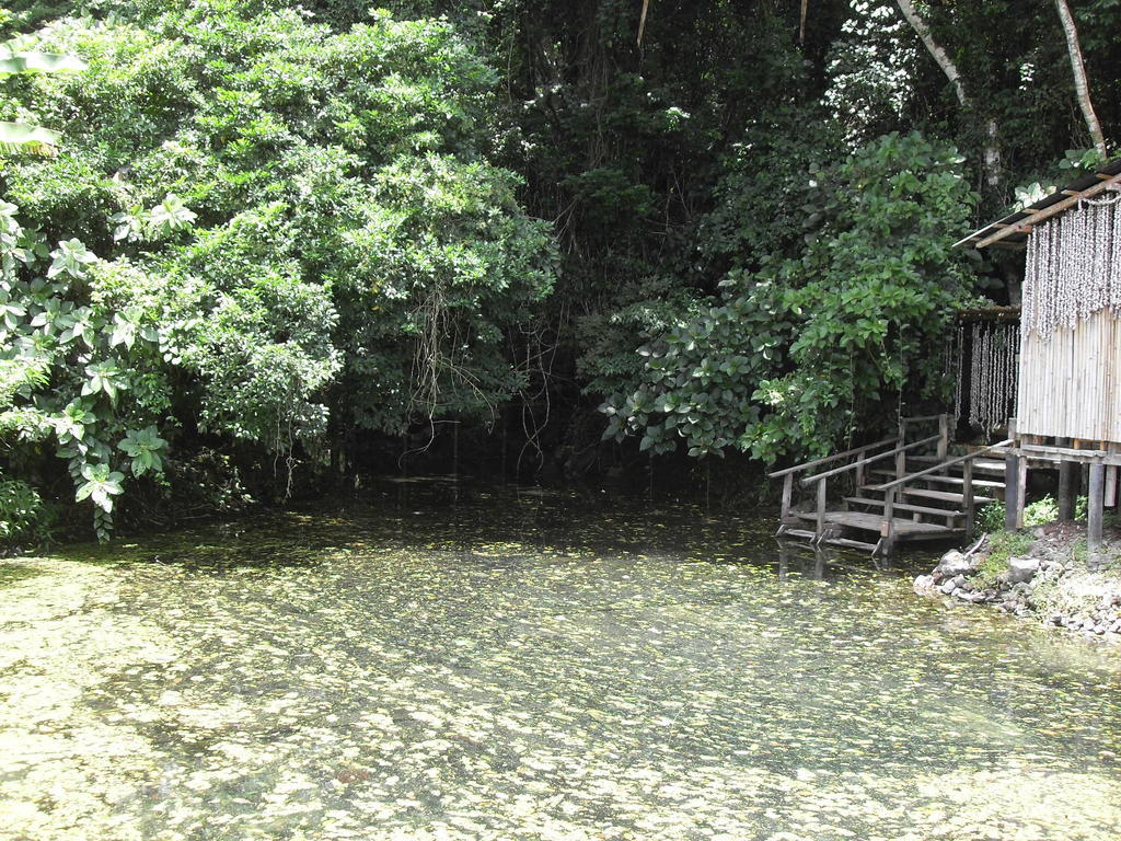 Campsite Reserva Ecologica Nanciyaga