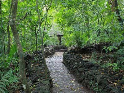 Campsite Reserva Ecologica Nanciyaga